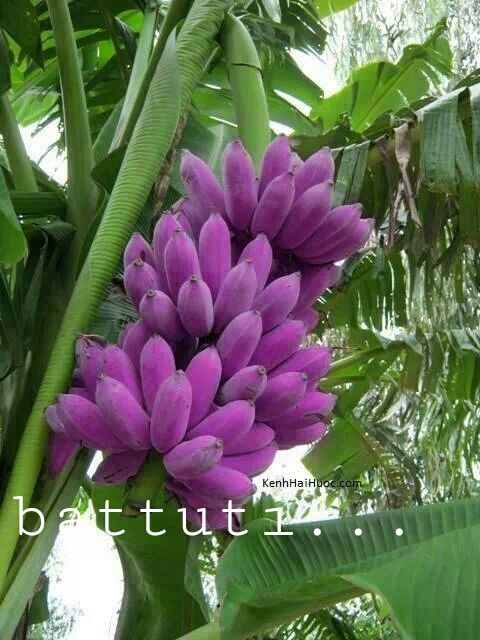 good morning or good afternoon or good evening to all...