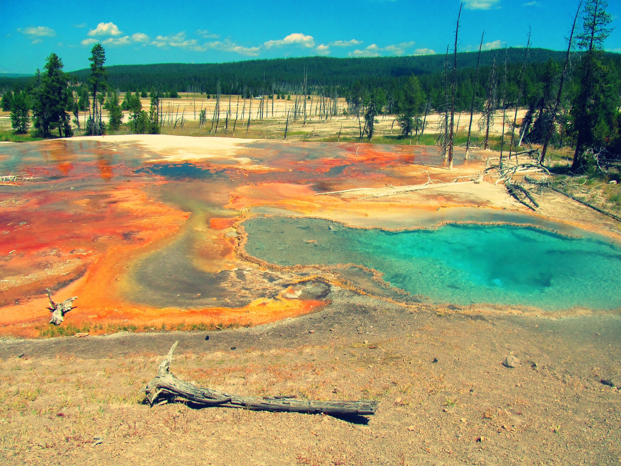 Yellowstone National Park, Wyoming